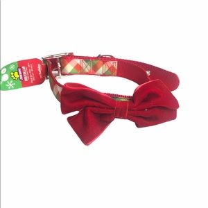 Top paw dog collar with bow